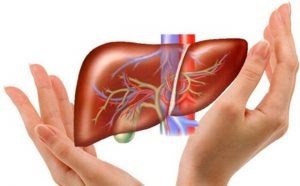 Cách để cải thiện sức khỏe của gan