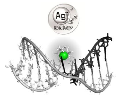 Nano bạc - Nhân tố hứa hẹn có thể giải quyết vấn đề kháng thuốc kháng sinh và phòng chống bệnh truyền nhiễm