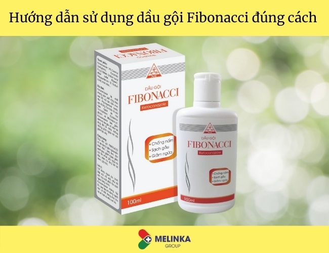 Hướng dẫn sử dụng dầu gội Fibonacci đúng cách