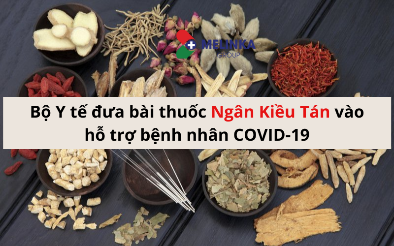 Ngân Kiều Tán - Hỗ trợ điều trị COVID-19 do Bộ Y tế ban hành