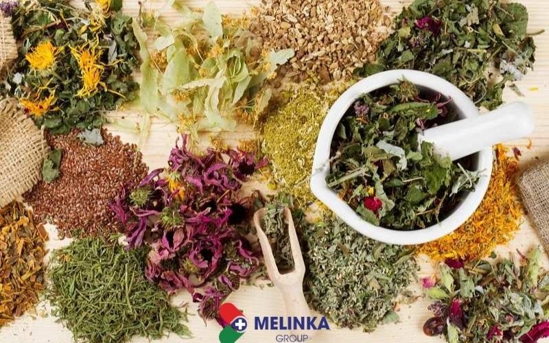 Ngân kiều tán: Bài thuốc Đông y trị bệnh hô hấp hiệu quả