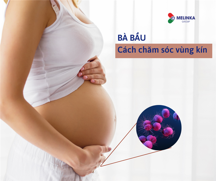 Cách chăm sóc vùng kín dành cho bà bầu