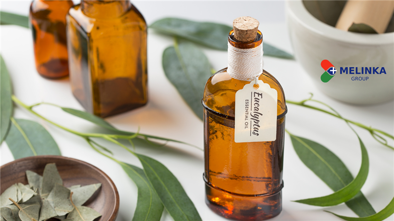 Tinh dầu khuynh diệp - Vị thuốc quý giúp chăm sóc sức khỏe và làm đẹp