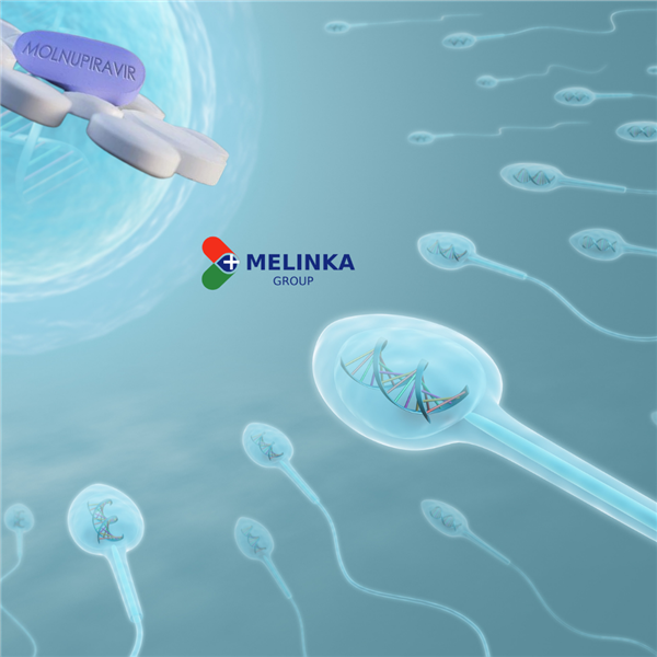 Thực hư thuốc kháng virus Molnupiravir có thể gây vô sinh