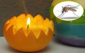 MÙA HÈ KHÔNG LO BỊ MUỖI CHÍCH CHỈ VỚI MỘT VÀI MẸO NHỎ SAU ĐÂY