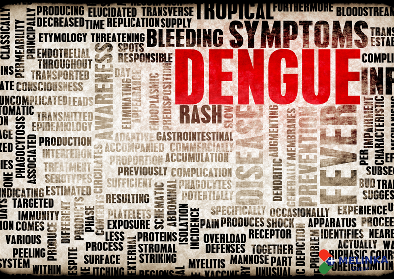 DẤU HIỆU NHẬN BIẾT NGƯỜI LỚN SỐT XUẤT HUYẾT VÀ CÁCH PHÒNG TRÁNH