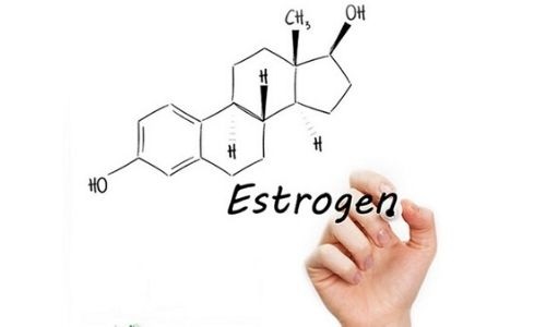ESTROGEN VÀ VAI TRÒ CỦA NÓ LÀ GÌ?