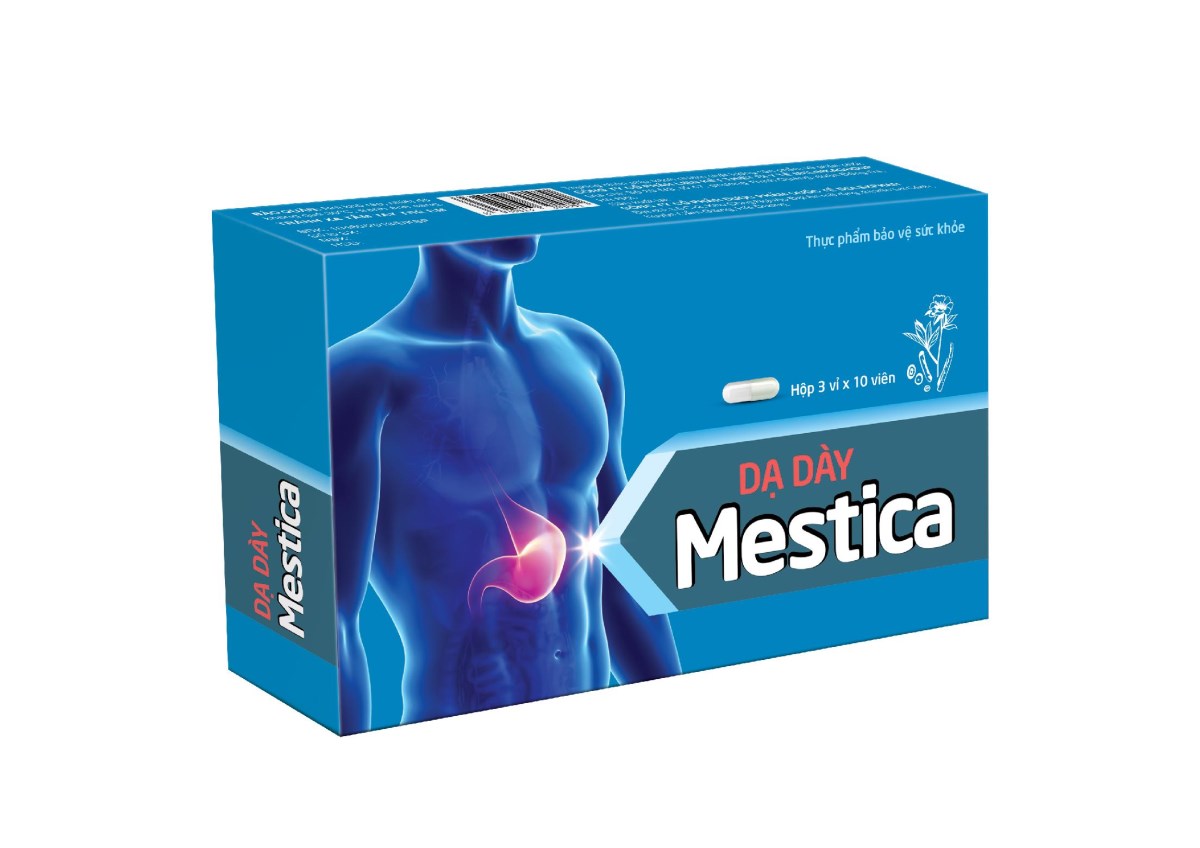 Dạ dày Mestica