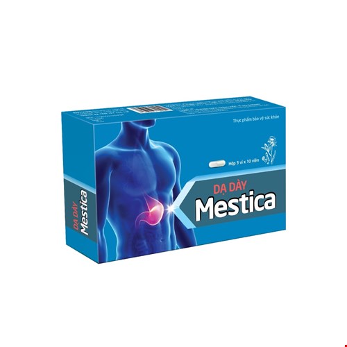 Dạ dày Mestica